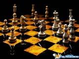 25-й областной турнир по быстрым шахматам