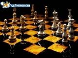 25-й областной турнир по быстрым шахматам