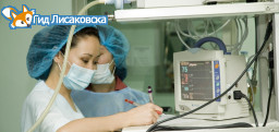Минздрав рассказал, от каких болезней чаще всего умирают казахстанцы