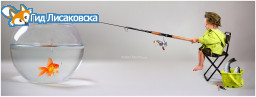 В Лисаковске состоится турнир по подледному лову “Золотая рыбка”