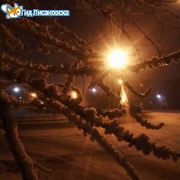 О погоде в Лисаковске 5 декабря