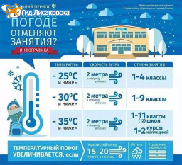 По каким критериям отменяют занятия в школах Лисаковска