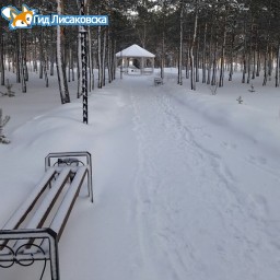 О погоде в Лисаковске 6 февраля