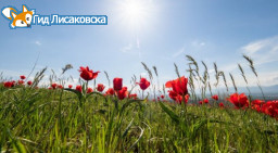 11 дней отдохнут казахстанцы в мае