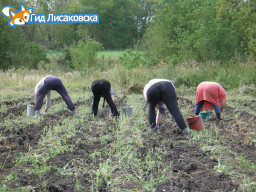 Выросли членские взносы “Урожайное – 1” в Лисаковске