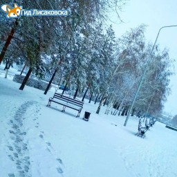 О погоде в Лисаковске 29 ноября