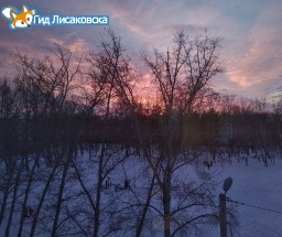 О погоде в Лисаковске 24 января