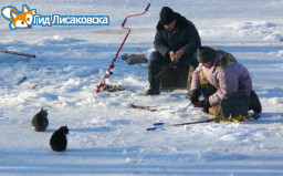 Начался прием заявок на участие в турнире по зимней рыбалке «Золотая рыбка - 2019»