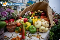 В субботу в Лисаковске состоится сельхозярмарка