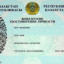 В Казахстане начались работы по внедрению дактилоскопической регистрации