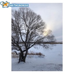 Прогноз погоды 10 января в Лисаковске