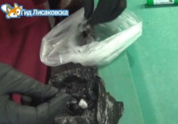 В городе Лисаковск оперативниками задержана закладчица наркотиков