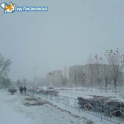 О погоде в Лисаковске 10 декабря