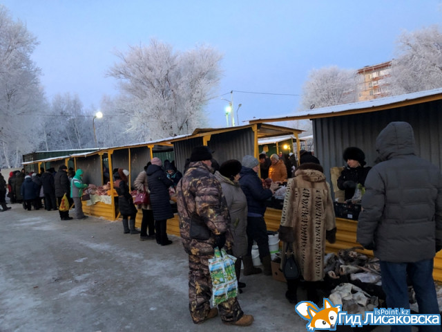 График сельскохозяйственных ярмарок-2019 утвердили в Лисаковске