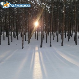 О погоде в Лисаковске 4 февраля