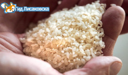 Жителям Лисаковска продадут рис из стабфонда по 175 тенге за кило