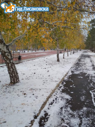 О погоде в Лисаковске 16 октября
