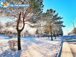 О погоде в Лисаковске 26 января
