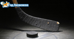 Хоккейный корт за 13 миллионов построят в Лисаковске