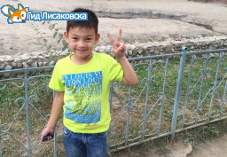 Полиция прокомментировала сообщение о пропаже мальчика из Лисаковска